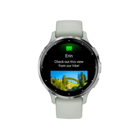 Смарт-годинник Garmin Venu 3S Silver S. Steel Bezel w. Sage Gray Case and S. Band (010-02785-01/51)